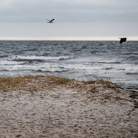 Motel Strandmotellet Greve