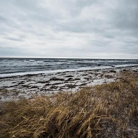 汽车旅馆 Strandmotellet Greve