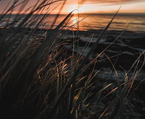 Strandmotellet Greve